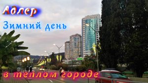 Зимний день в теплом Адлере сегодня