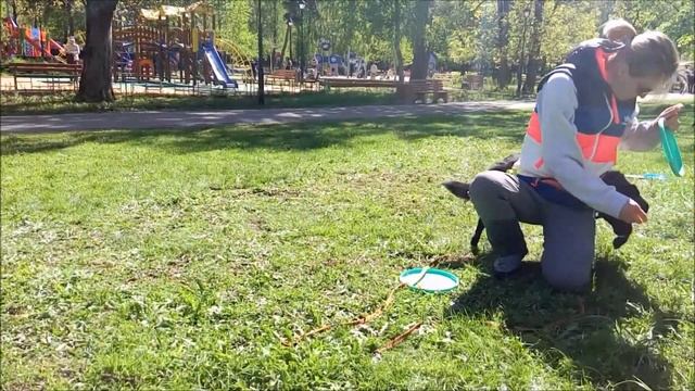 Буля - тренировка.mp4