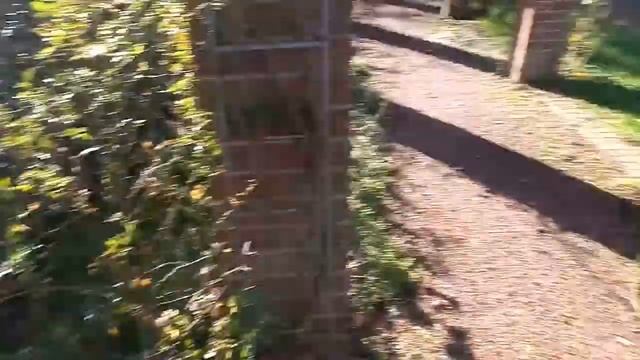 Красивый парк в Дюссельдорфе / Beautiful park in Dusseldorf смотреть онлайн