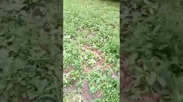 Плоды наших трудов смотреть онлайн