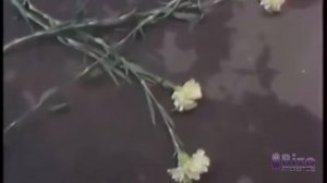 М. Боярский  Зеленоглазое такси (наоборот)