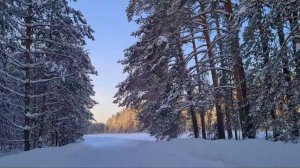 Светлана Малова- Друзьям !  ( Сама снимала для вас,  дорогие ❤)