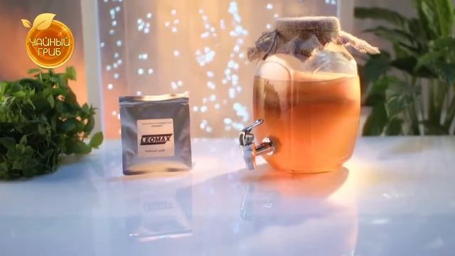 Чайный Гриб смотреть онлайн