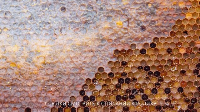 Натуральная еда - это модно и вкусно, это - забота о своем здоровье и здоровье своих близких.