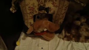 Ну очень ЗЛОЙ Чихуахуа