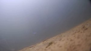 ТОП-4 балансира по ОКУНЮ! Вам нужно всего 4 балансира, что бы ловить окуня ВЕЗДЕ!