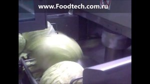 Оборудование для производства квашенной капусты