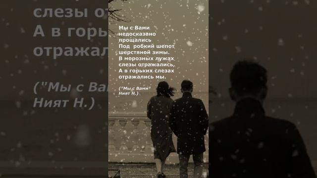 #поэзия #стихи #poetry