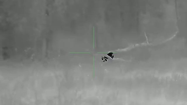 Рысь на прогулке. Yukon Nordforce XQ30. смотреть онлайн