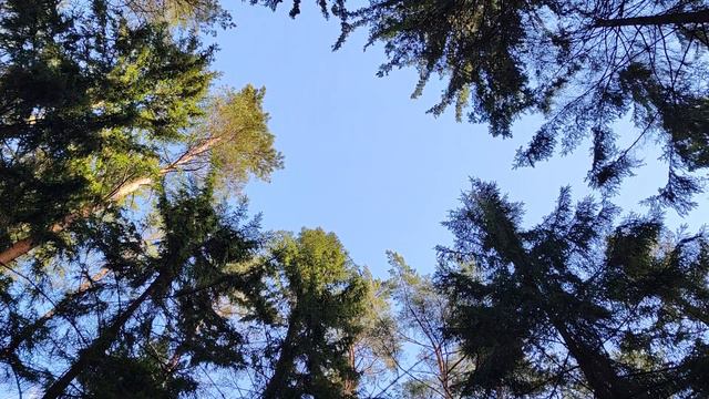 Зимнее небо / Расслабляющий хруст снега для сна и отдыха смотреть онлайн