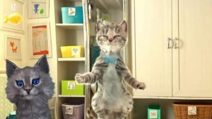 МОЙ МАЛЕНЬКИЙ МИЛЫЙ КОТЕНОК Игровой мультик для малышей Игра про котят Видео для детей мультик