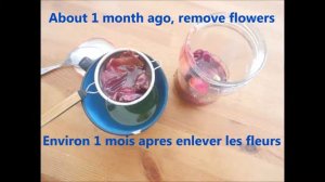 How to make Camelia flowers Oil-  Faire de l huile de fleurs de Camelia