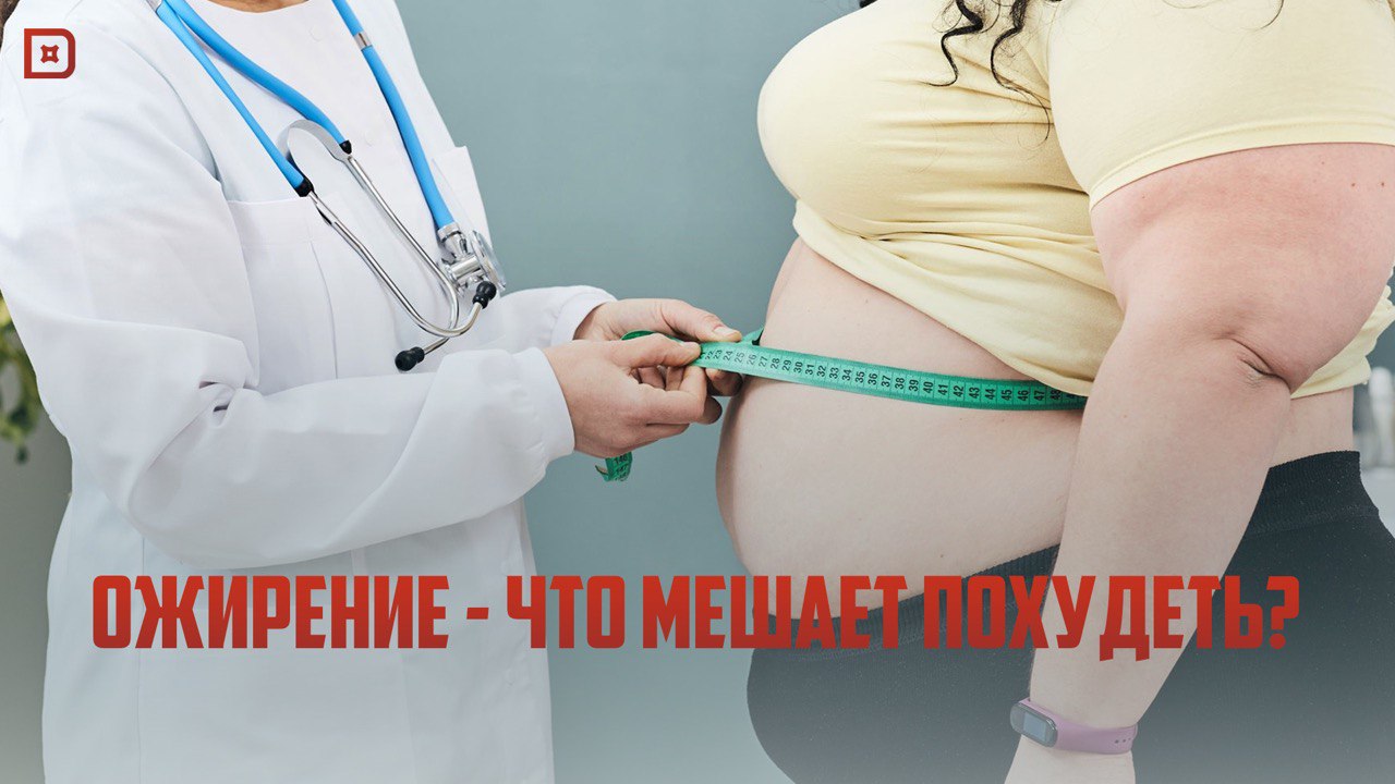 Ожирение – причины и последствия