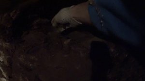 Гнилые венцы ниже пола. Гнилая балка. Как менять? Что делать? Жесть! 18+