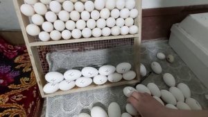 ПЕРВАЯ ЗАКЛАДКА В 2020!!