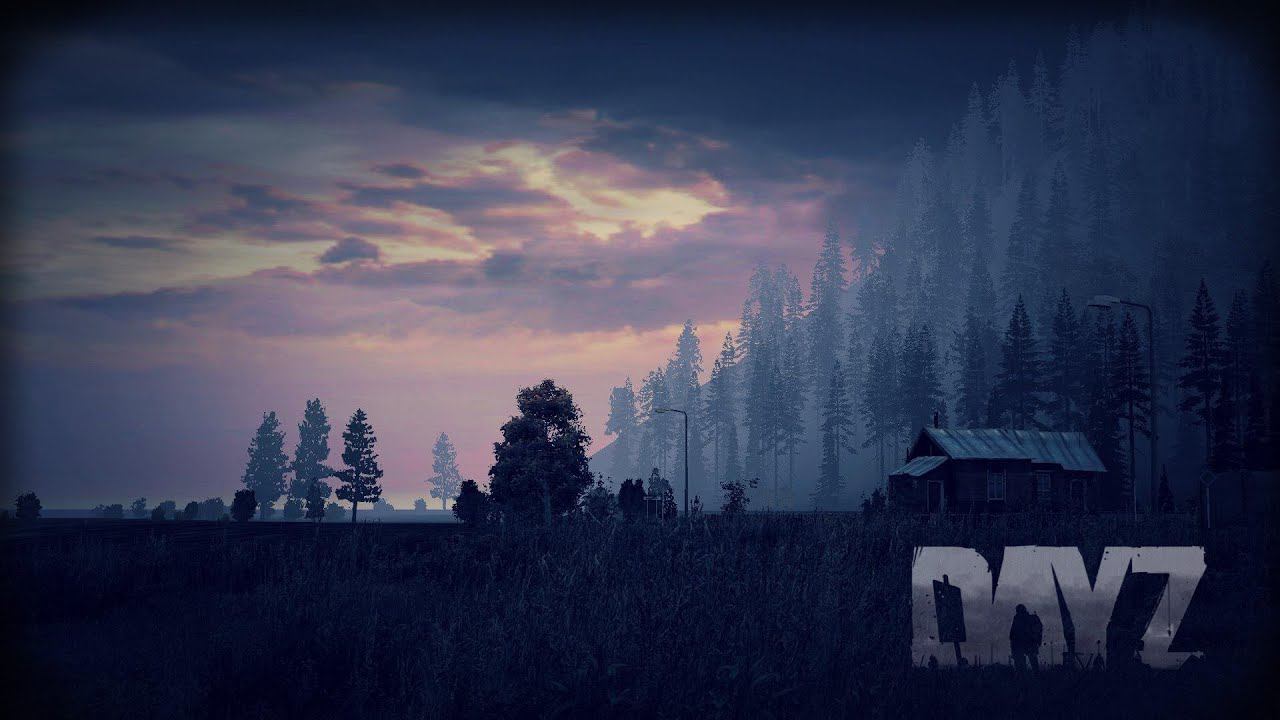ХАРДКОРНОЕ ВЫЖИВАНИЕ DAYZ КООП #3