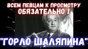 "Горло Шаляпина"  | Ираклий Андроников. Из жизни А.А.Остужева #шаляпин #Андроников