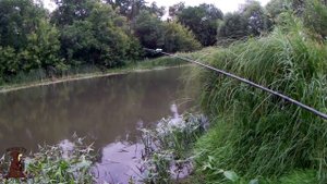 Летние рыбалки на реке с берега на донки. Как рыбачить на кузнечика!