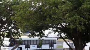 Plane spotting at Punta Cana Airport