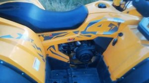 MOTOLAND 200 WILD TRACK X