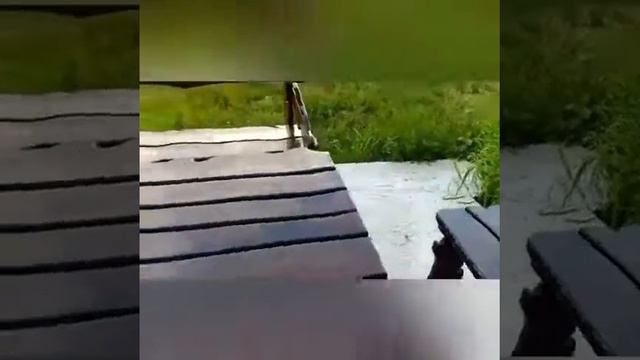 Мебель из массива сосны для дачи 1 смотреть онлайн