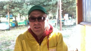 ЗАМЕРШИЙ РАСПЛОД И ЗАСЕВ МЕДОНОСНЫХ ПЧЁЛ.