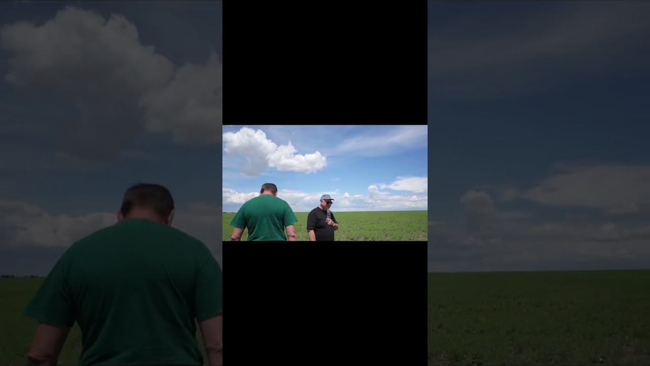 Почему это не южный чернозем? #точноеземледелие #farming #почва #сельскоехозяйство #земледелие