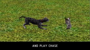♦ Sims 2 vs Sims 3 vs Sims 4 : Kittens