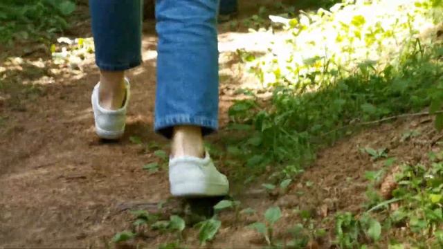 Колтушские высоты. Прогулка по эко-тропе. смотреть онлайн