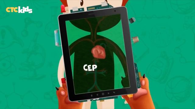 кровеносная система, пищеварительная система смотреть онлайн