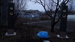 Усилитель Дорофеева 2020 c блоком питания на IR2153.