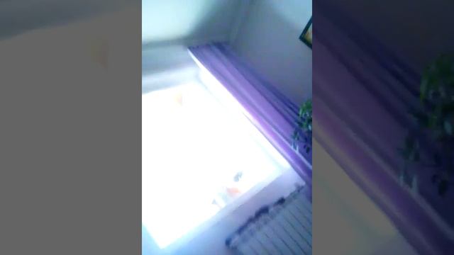 Короче говоря сон !!! смотреть онлайн