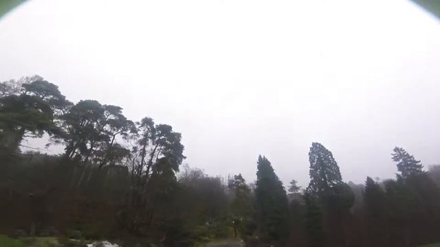 Ninja branches смотреть онлайн