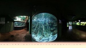 360° Tropicarium Budapest