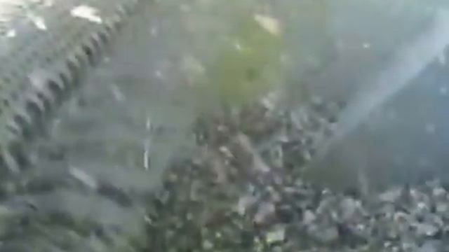 Удаление ракушек пляжеуборочной машиной Barber смотреть онлайн