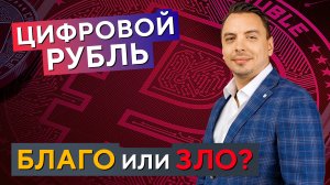 Плюсы и минусы ЦИФРОВОГО РУБЛЯ и что нас ждёт? Дмитрий Черёмушкин