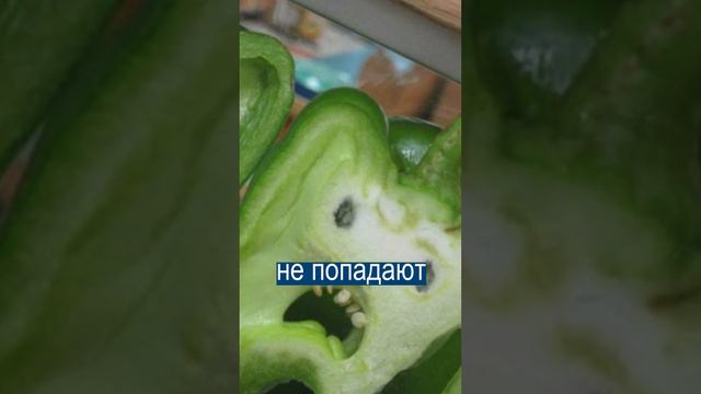 Магазин НЕКРАСИВЫХ ОВОЩЕЙ во Франции