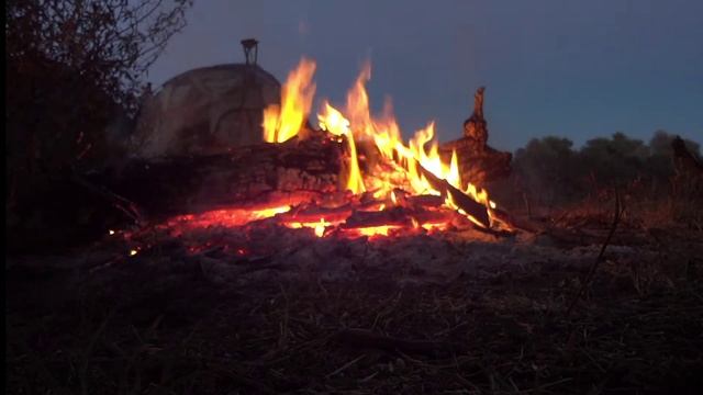 Треск дров в походном костре и спокойные звуки природы, тёплой летней ночью, АСМР.???