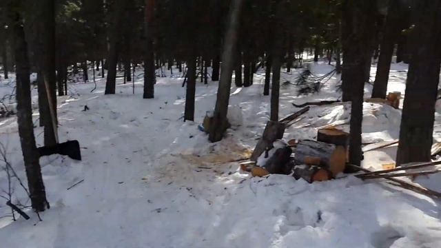 охота рыбалка томская область смотреть онлайн