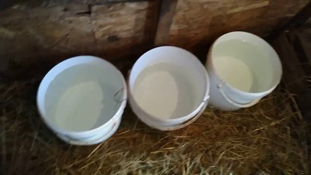 Про коз. смотреть онлайн