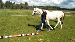 Вариант съемки экстерьера в полевых условиях