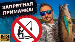 ЭТУ ПРИМАНКУ СКОРО ЗАПРЕТЯТ