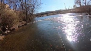 Trout Fishing For Beginners: Spinner Fishing For Trout - Spinning For Trout [Beginners] | SFSC