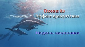 Целебные звуки дельфинов | Релакс подводный мир