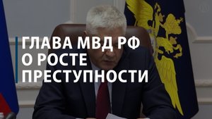 Глава МВД РФ о росте преступности