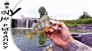 ЕЩЁ ОДНА ЛЕТНЯЯ РЫБАЛКА 2021 ГОДА ловлю окуня на мормышку в реке и пруду