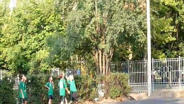 Соревнования по лапте смотреть онлайн