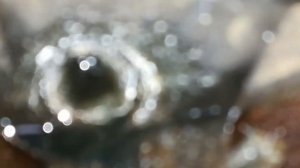 Opel Corsa D 09г экстрактор в свече накала удаление