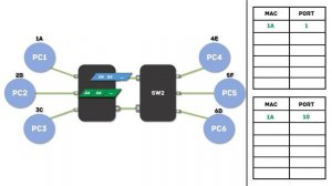 Соединение двух коммутаторов двумя линиями связи.  Часть 1.