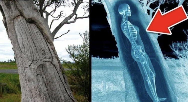 30 фактов, в которые сложно поверить с первого раза